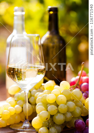 Still life with glasses of red and white wine and grapes in field Still life with glasses of red and white wine and grapes in field 116771540