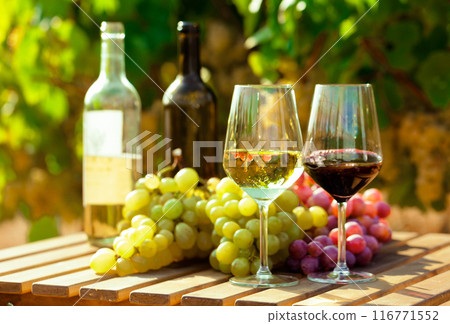 Glasses of red and white wine and ripe grapes on table in vineyard 116771552