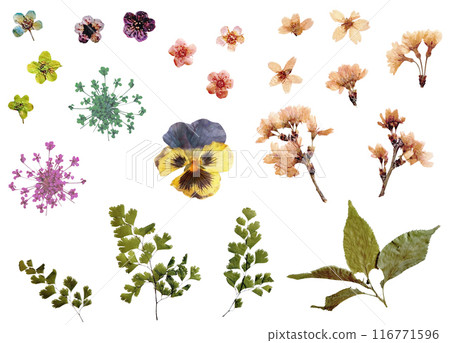 剪紙材料套裝-乾燥花8（花環裝飾用壓花） 116771596