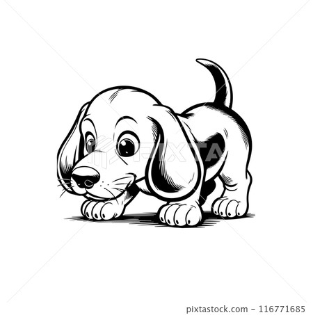 Beagle Hound puppy sniffing ground. Playful and cute, happy and smiling. Great for kid designs, greeting cards, stickers, coloring books. Black and white ink sketch style. Vector illustration Beagle Hound puppy sniffing ground. Playful and cute, happy and smiling. Great for kid designs, greeting cards, stickers, coloring books. Black and white ink sketch style. Vector illustration 116771685