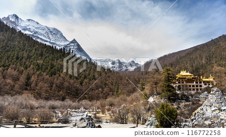 Chonggu Monastery is within the park of Yading and located at the foot of Mount Xiannairi. It is a popular tourist destination with idyllic scenary. Chonggu Monastery is within the park of Yading and located at the foot of Mount Xiannairi. It is a popular tourist destination with idyllic scenary. 116772258