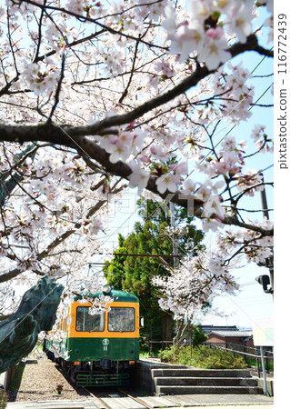 Cherry blossoms at the old Tsukigata Station (Niigata Prefecture) Cherry blossoms at the old Tsukigata Station (Niigata Prefecture) 116772439