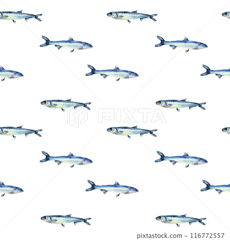 Small fishes anchovy on watercolor seamless pattern isolated. Fresh sea fish hand drawn endless background. Marine pattern with fish. Underwater sea design for package, textile, paper 116772557