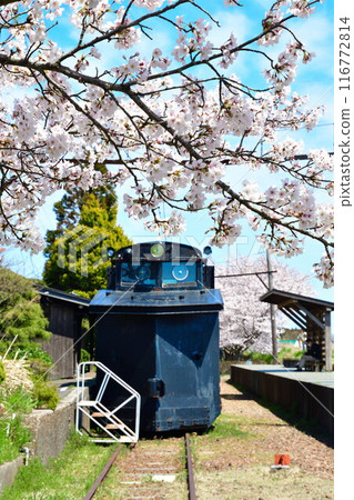Former Tsukigata Station and cherry blossoms (Niigata Prefecture) Former Tsukigata Station and cherry blossoms (Niigata Prefecture) 116772814