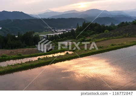 240607Uenodairaz028 240607Uenodairaz028 116772847