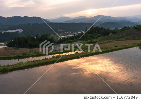 240607Uenodairaz026 116772849