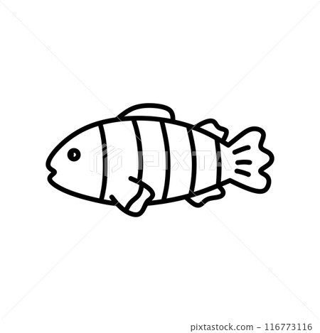Fish isolated on white background 116773116