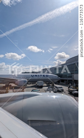 ANA, private room, single room 116773573