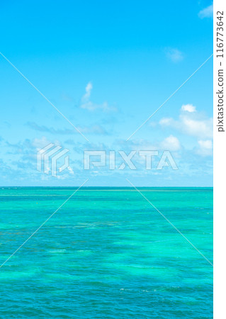 Sea of Ishigaki Island 116773642