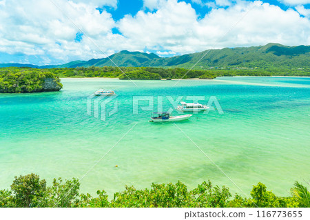 Superb view of Ishigaki Island Kabira Bay Superb view of Ishigaki Island Kabira Bay 116773655