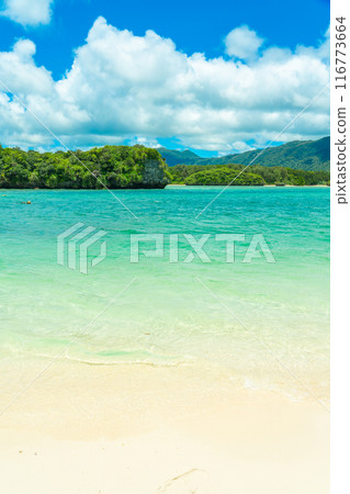 Kawahira Bay of Ishigakijima 116773664