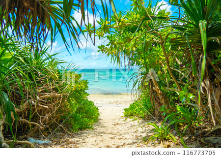 The spectacular view of Ishigaki Island - Tabagaya Kabira The spectacular view of Ishigaki Island - Tabagaya Kabira 116773705