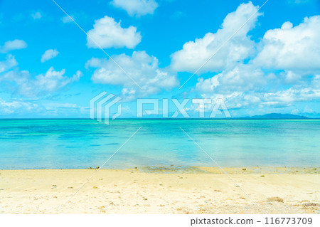 Kawahira Bay of Ishigakijima 116773709