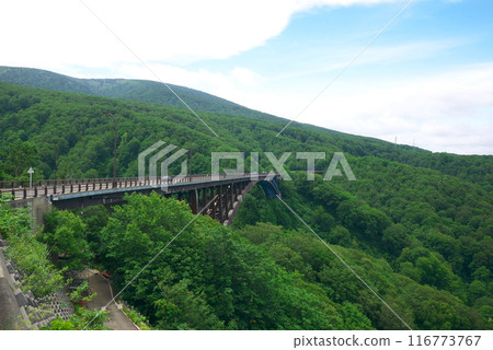Jogakura Bridge and blue sky Jogakura Bridge and blue sky 116773767