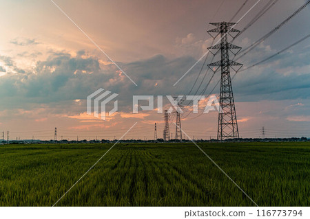 Sunset clouds and the silhouette of a power transmission tower 116773794