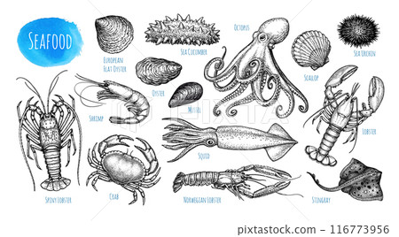 Seafood ink sketch set. 116773956
