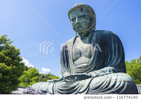 鎌倉大佛 116774140