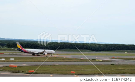 airplane airplane 116774242