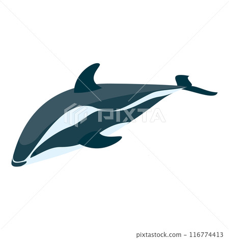 3D Isometric Flat Vector Set of Types Of Dolphins, Educational Classification. Item 2 3D Isometric Flat Vector Set of Types Of Dolphins, Educational Classification. Item 2 116774413
