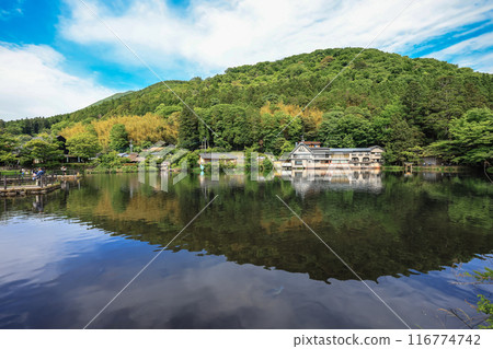 the river to Kinrin Lake, Yufuin japan May 15 2024 the river to Kinrin Lake, Yufuin japan May 15 2024 116774742