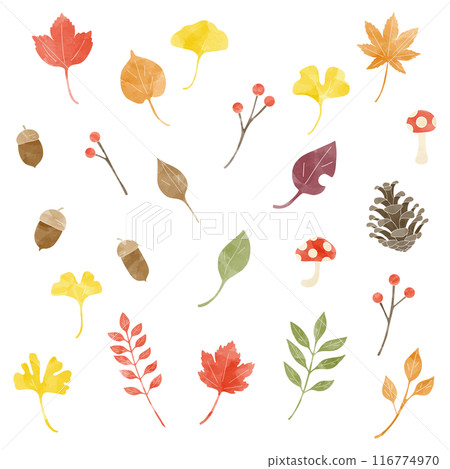 Autumn plant icon set, watercolor Autumn plant icon set, watercolor 116774970