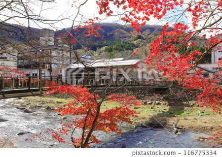 Scarlet suspension bridge Scarlet suspension bridge 116775334