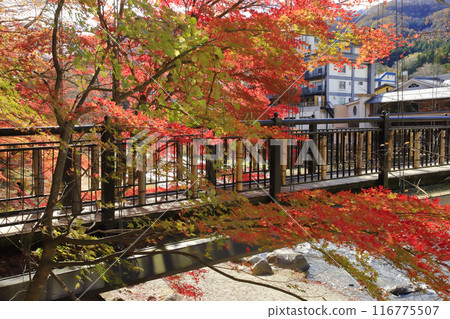 猩紅色吊橋 猩紅色吊橋 116775507