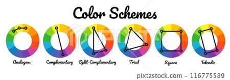 color schemes, Color mixing wheel with combinations scheme color harmonies 116775589