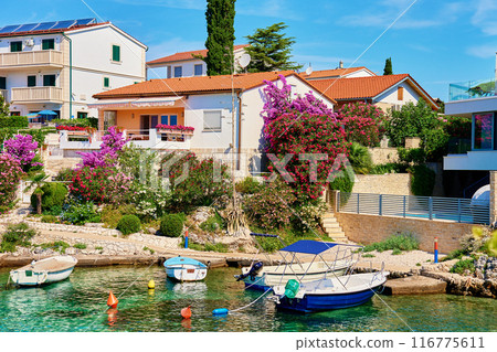 Boats Docked Near Beautiful Houses With Lush Gardens in Rogoznica, Croatia 116775611