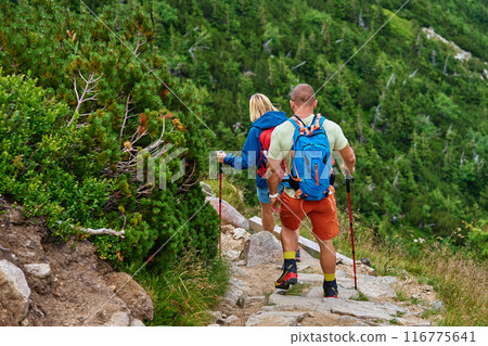Two hikers with backpacks and trekking poles descending rocky mountain trail 116775641