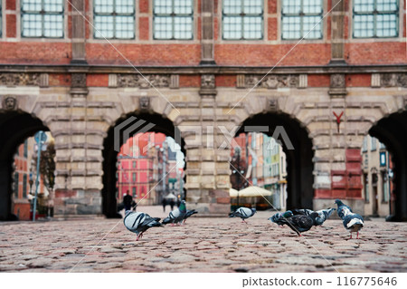 Historical building with arch. Main entrance in old town in Gdansk, Poland Historical building with arch. Main entrance in old town in Gdansk, Poland 116775646