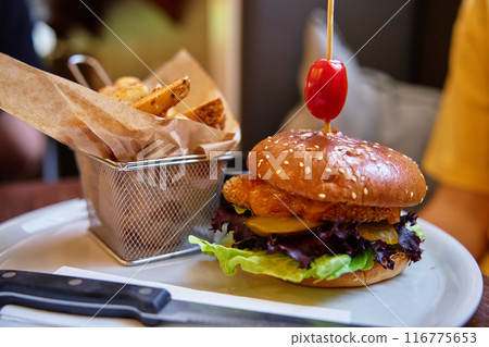 Delicious Chicken Burger and Crispy Fries in Restaurant 116775653