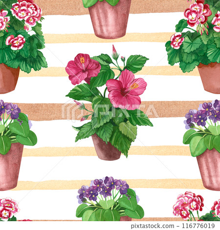 Watercolor pattern. Bright indoor flowers in pots on a striped background. Hibiscus, geranium, violet hand-painted in watercolor. Suitable for printing on fabric, paper, bed linen, clothing. 116776019