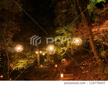 雷裡峽紅葉小徑彩燈（宮城縣仙台市秋保町） 116776047