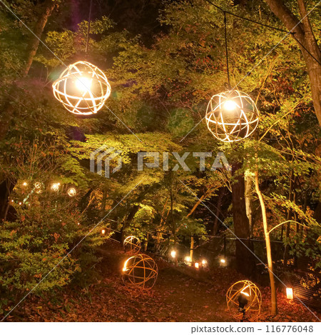雷裡峽紅葉小徑彩燈（宮城縣仙台市秋保町） 116776048