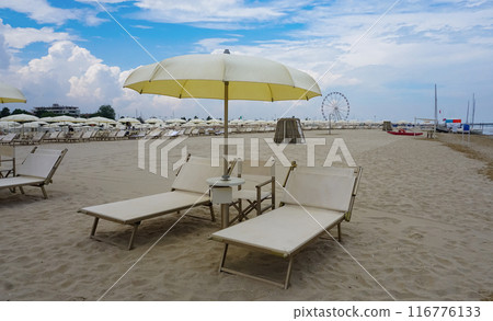 the sunbeds and parasols on the beach the sunbeds and parasols on the beach 116776133