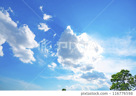 Summer clouds, trees and sun 116776598