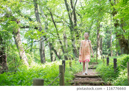 A girl walking on the stairs in the forest A girl walking on the stairs in the forest 116776660