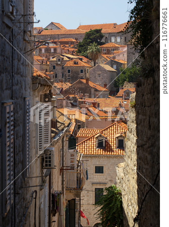 Famous narrow alley of Dubrovnik in Croatia. 116776661