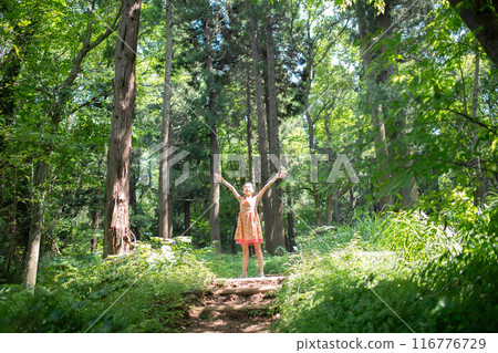 A girl who spreads her hands in the woods A girl who spreads her hands in the woods 116776729