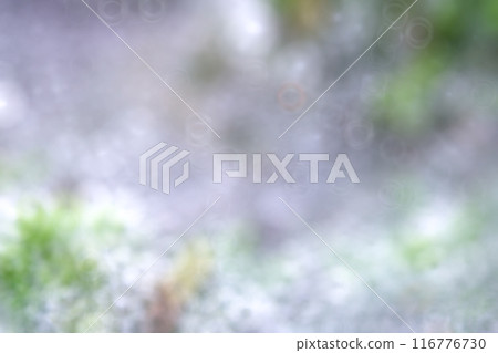 Dew drops blur abstract background and texture. Dew drops blur abstract background and texture. 116776730