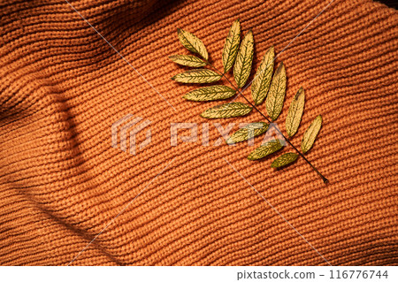 Cozy composition of autumn leaves and sweater. 116776744