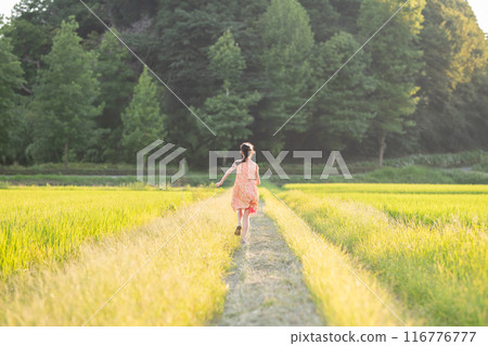 A girl playing on a rice field path at dusk 116776777