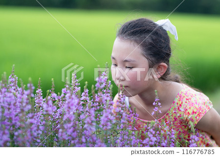 girl smelling lavender girl smelling lavender 116776785