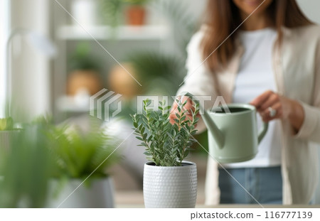 Woman Holding Potted Plant in a Home Setting 116777139