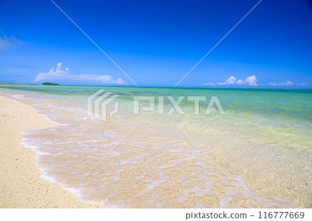 美麗的大海和清新的天空 116777669