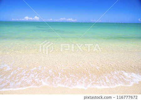 Okinawa Natural Beach Hyakuna Beach 116777672