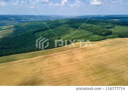 Aerial landscape view of yellow cultivated agricultural fields with ripe wheat and green woods on bright summer day Aerial landscape view of yellow cultivated agricultural fields with ripe wheat and green woods on bright summer day 116777714