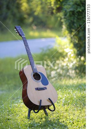 Acoustic guitar outdoors on greenery background. Concept of calm music 116777733