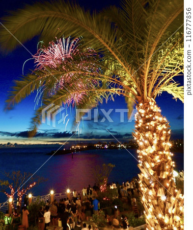 Palm trees and fireworks Palm trees and fireworks 116777856